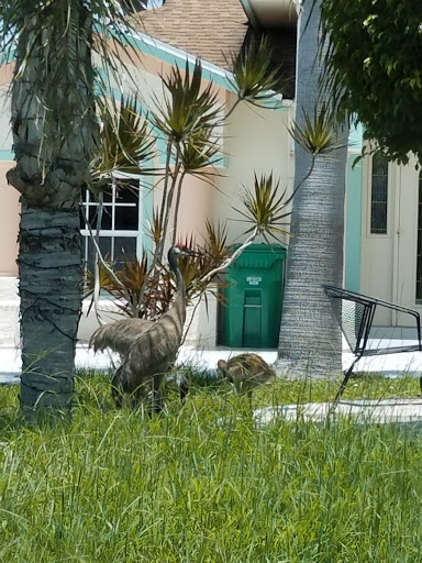 Photo of Express Electrician