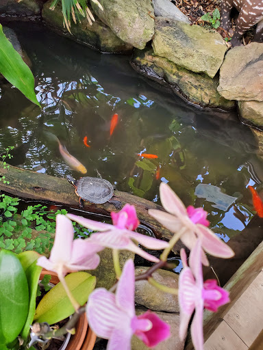 Orchard «The Orchard Shop», reviews and photos, 311 W St Joseph St, Muncie, IN 47303, USA