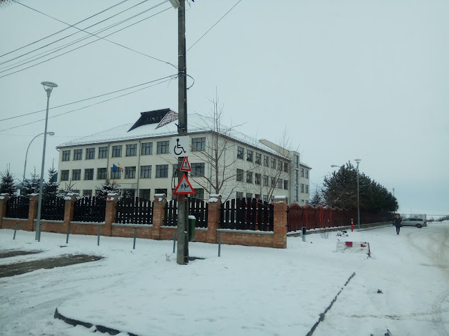 Școala Generală Petőfi Sándor - <nil>