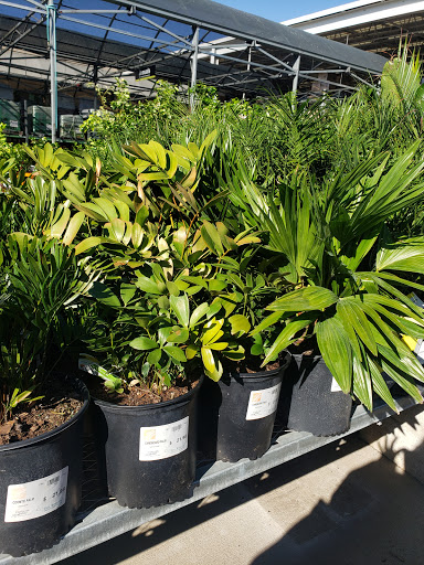 Home Improvement Store «The Home Depot», reviews and photos, 2805 US-98, Lakeland, FL 33805, USA