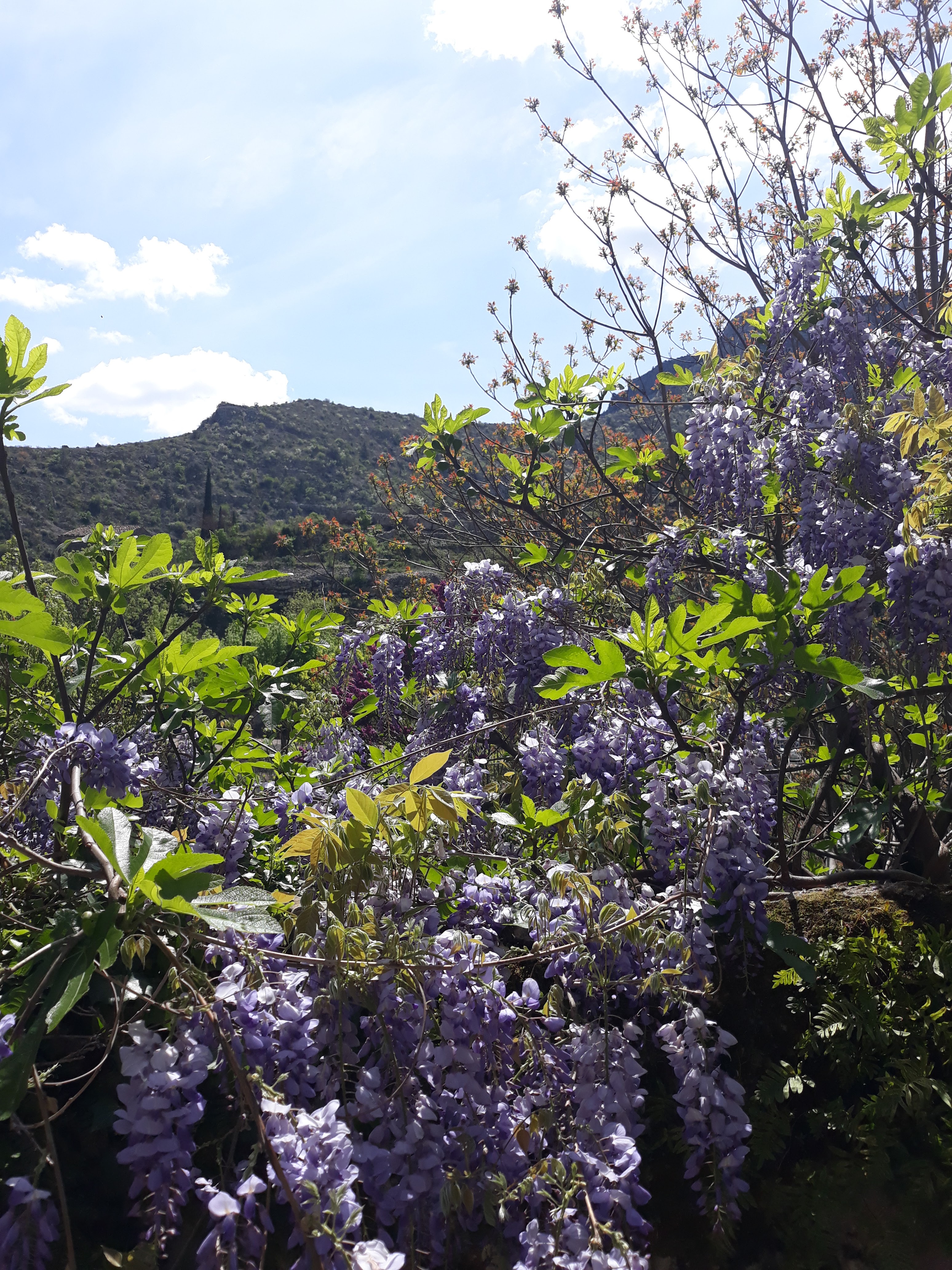 Photo n° 4 de l'avis de Sandy.� fait le 22/04/2022 à 11:40