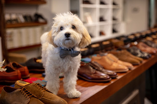 Shoe Store «Brick + Mortar (Alden Shop)», reviews and photos, 1210 4th Ave, Seattle, WA 98101, USA