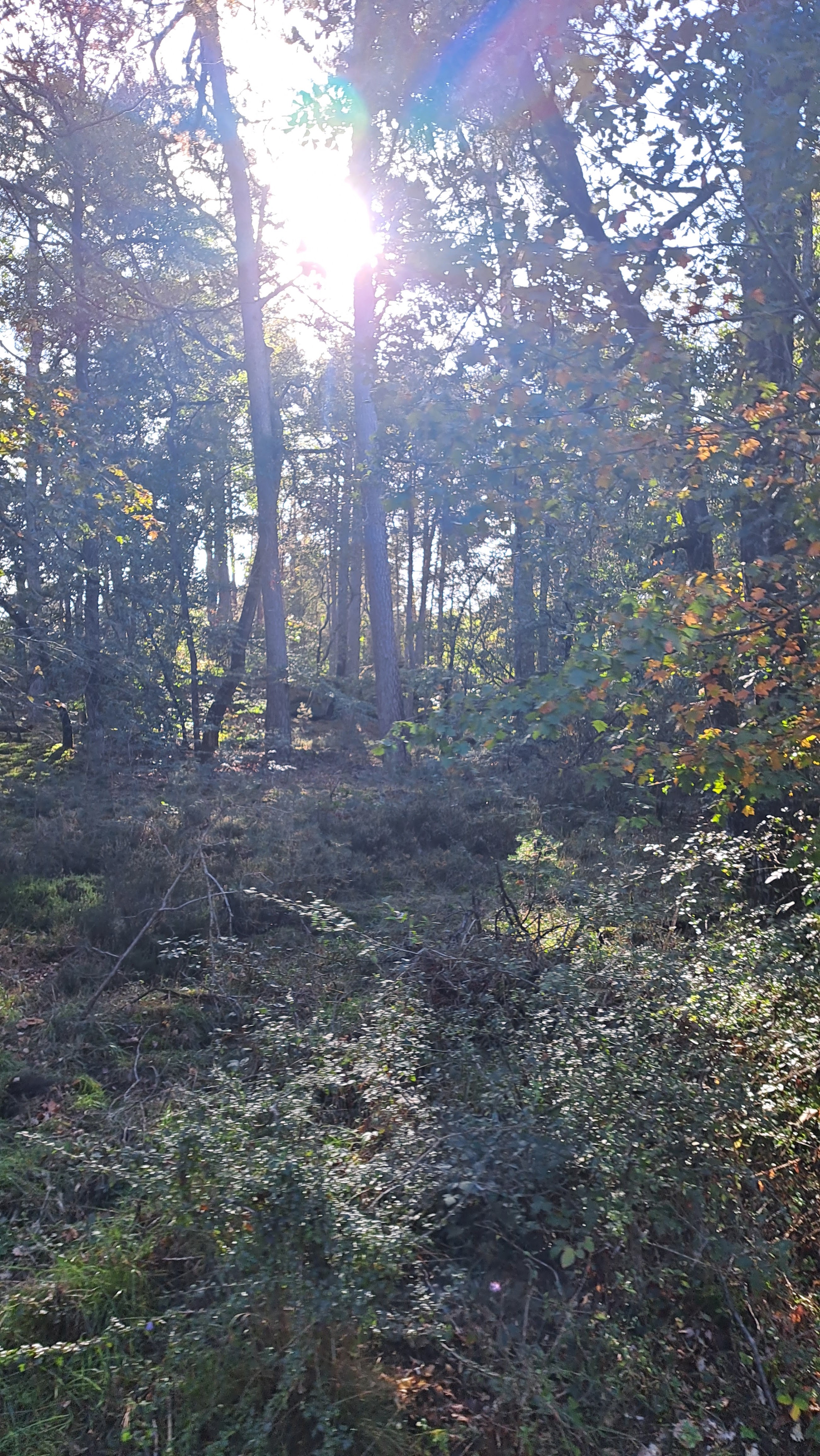 Photo n° 2 de l'avis de Shania.n fait le 20/10/2023 à 15:43
