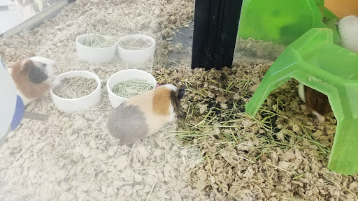 Pet Supply Store «Petco Animal Supplies», reviews and photos, 1014 Shoppes At Midway Dr, Knightdale, NC 27545, USA