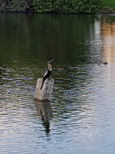 Park «Oak Lake Park», reviews and photos, 3190 N 56th Ave, Hollywood, FL 33021, USA