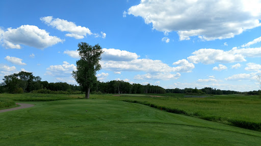 Golf Course «Victory Links Golf Course», reviews and photos, 2010 105th Ave NE, Minneapolis, MN 55449, USA