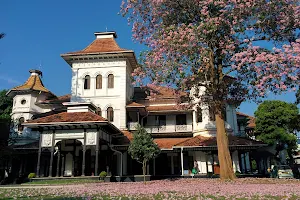 University of Colombo image