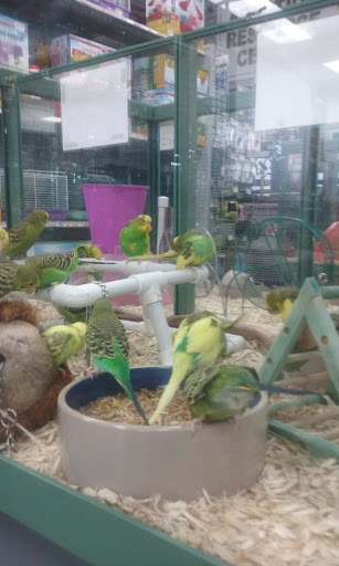 Department Store «T.J. Maxx», reviews and photos, 417 Mary Esther Cut Off NW, Fort Walton Beach, FL 32548, USA