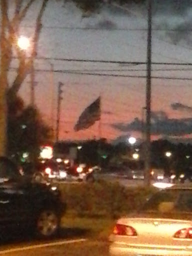 Coffee Shop «Starbucks», reviews and photos, 30503 US Hwy 19 N b, Palm Harbor, FL 34684, USA