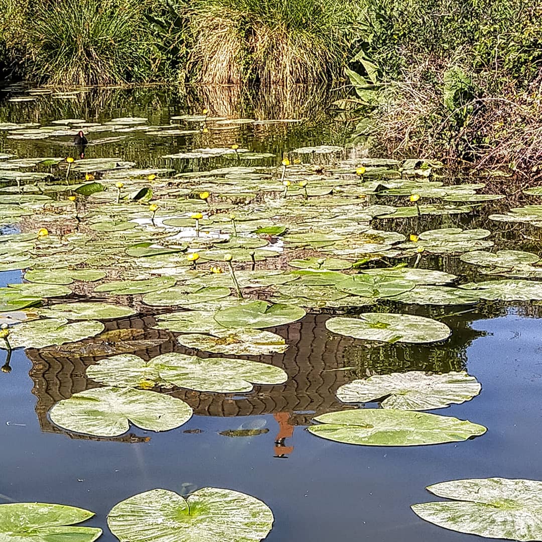 Photo n° 1 de l'avis de Virg.n fait le 03/06/2020 à 08:39