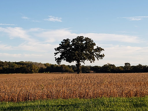 Nature Preserve «Raven Glen Forest Preserve», reviews and photos, 41080 US-45, Antioch, IL 60002, USA