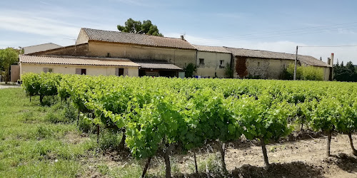 Domaine la Coste du Puy à Roquemaure