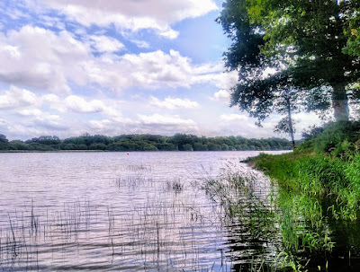 Lac au Duc à Taupont