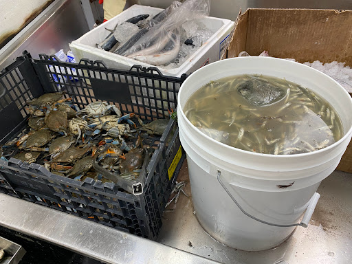 Convenience Store «Son Atlantic Market», reviews and photos, 135 Main St # 1, Danbury, CT 06810, USA