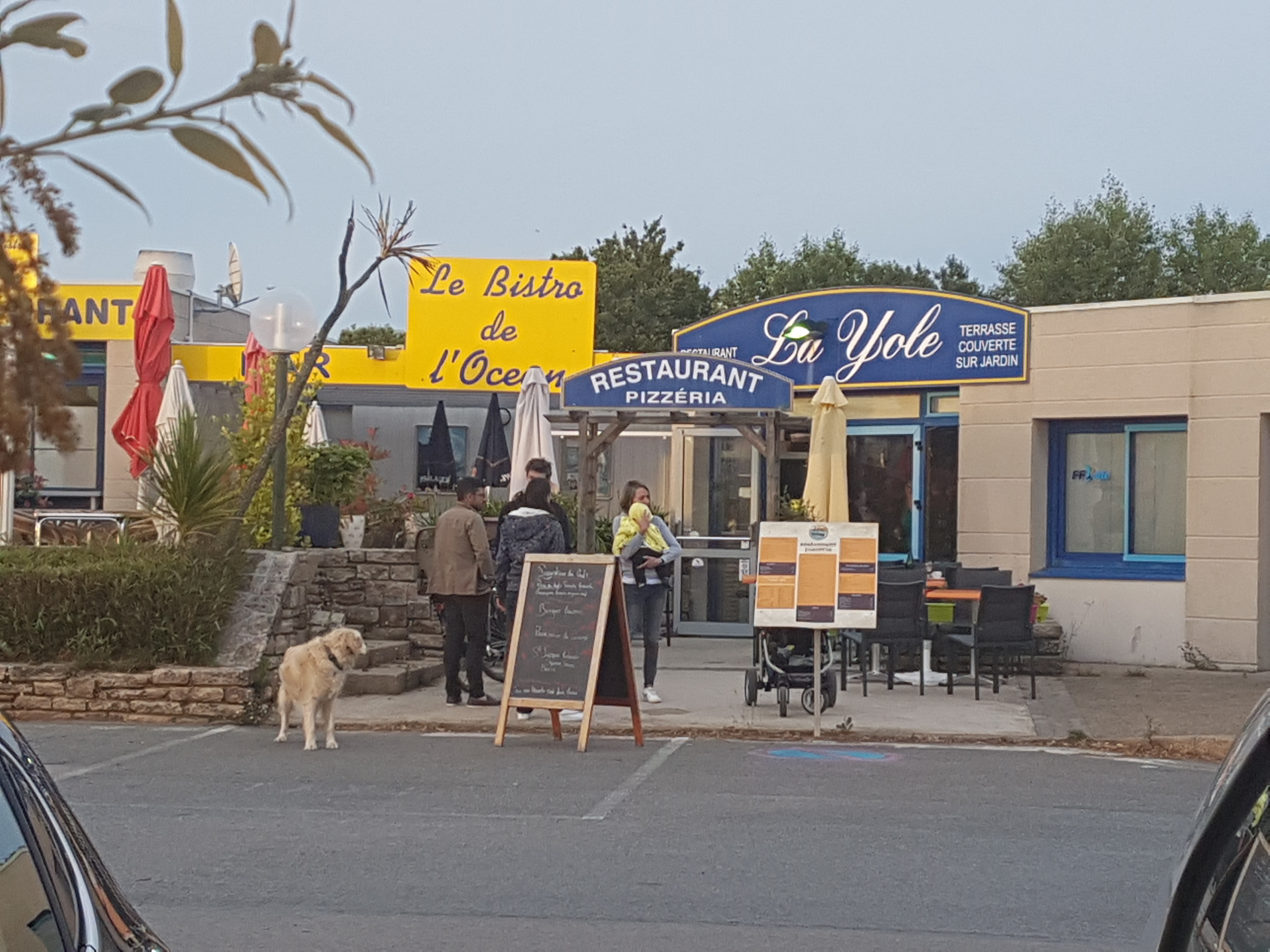 Photo n° 2 de l'avis de fleur.l fait le 15/06/2019 à 10:55