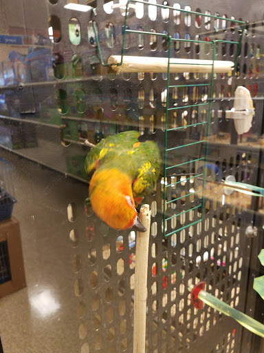 Pet Supply Store «PetSmart», reviews and photos, 401 S Mt Juliet Rd #645, Mt Juliet, TN 37122, USA