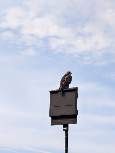 Nature Preserve «Bluff Lake Nature Center», reviews and photos, 3400 Havana Way, Denver, CO 80238, USA