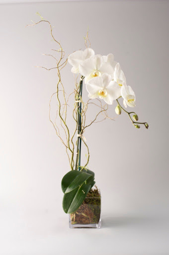 Florist «The Flower Shop», reviews and photos, 121 N 3rd St, Tooele, UT 84074, USA