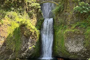 Multnomah Falls image
