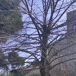 Photo n°10 de l'avis de Michela.o fait le 21/02/2021 à 17:56 sur le  Il Caro Commendatore à Montefiascone