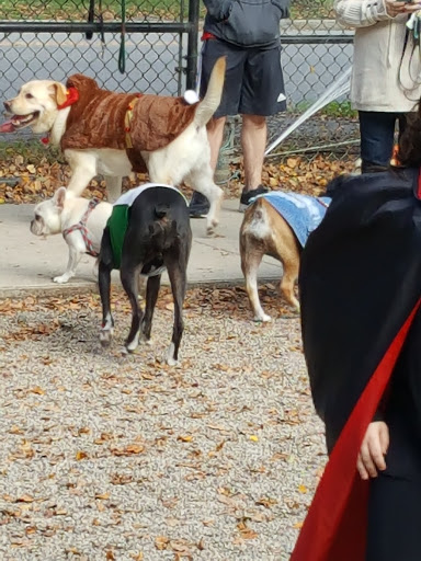 Dog Park «South Boston Bark Park», reviews and photos, 1280 Columbia Rd, Boston, MA 02127, USA