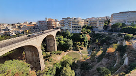 Hotel Mediterraneo Palace