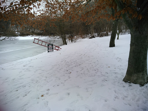 Park «Allison Pond Park», reviews and photos, 406 Prospect Ave, Staten Island, NY 10301, USA