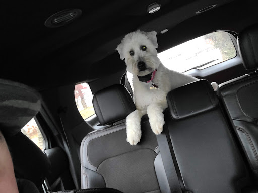 591 Lenertz Rd, Hudson, WI 54016, USA