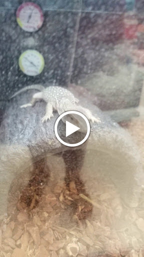 Pet Supply Store «Petco Animal Supplies», reviews and photos, 1605 Beltline Rd SW, Decatur, AL 35601, USA