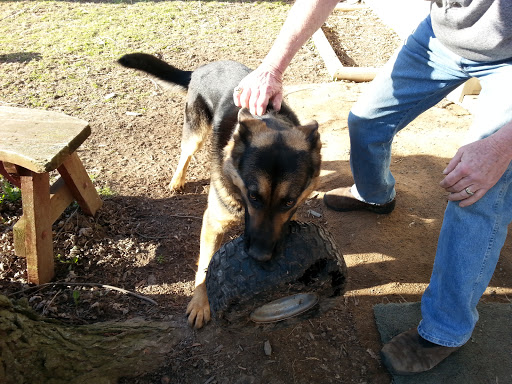 Golf Course «Seneca Hickory Stick Golf Course», reviews and photos, 4560 Creek Rd, Lewiston, NY 14092, USA