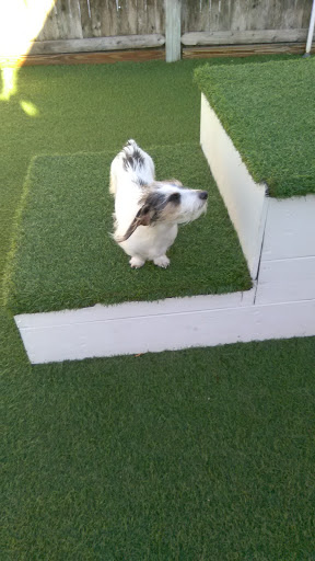 Pet Boarding Service «Provincetown Pet Resort, Supplies & Grooming», reviews and photos, 79 Shank Painter Rd, Provincetown, MA 02657, USA