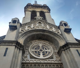 David De Miguel Angel photo