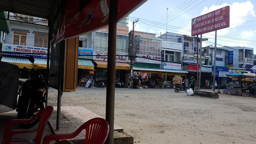 Top 11 cửa hàng koi thé Huyện Tân Hiệp Kiên Giang 2022