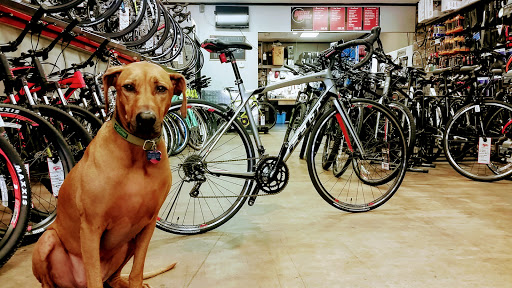 Bicycle Store «Bicycle World of West U», reviews and photos, 2519 Rice Boulevard, Houston, TX 77005, USA