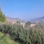 Photo n°3 de l'avis de attilio.a fait le 03/04/2023 à 03:45 sur le  Le Spighe Agriturismo Fattoria Bertaccini à Roncofreddo