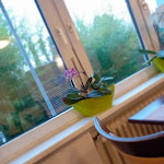 Photo n°3 de l'avis de K.4 fait le 12/03/2024 à 07:49 sur le  Hotel Astoria à Bonn