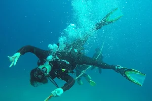 XP Diving image