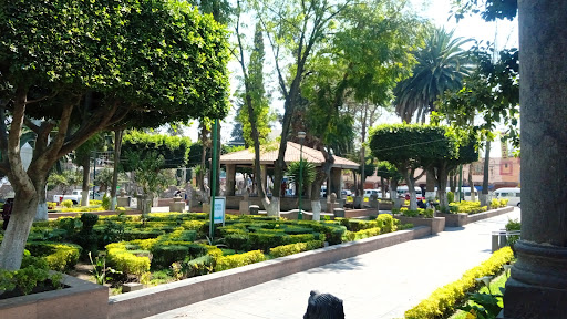 Organización no gubernamental Chimalhuacán