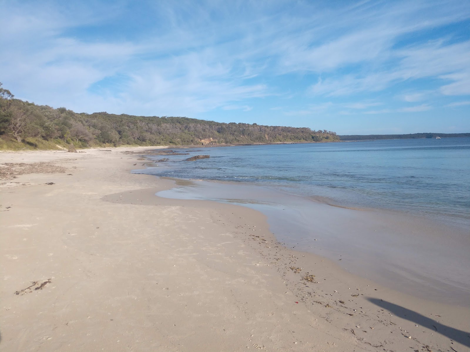 Foto van Cabbage Tree Beach met helder zand oppervlakte