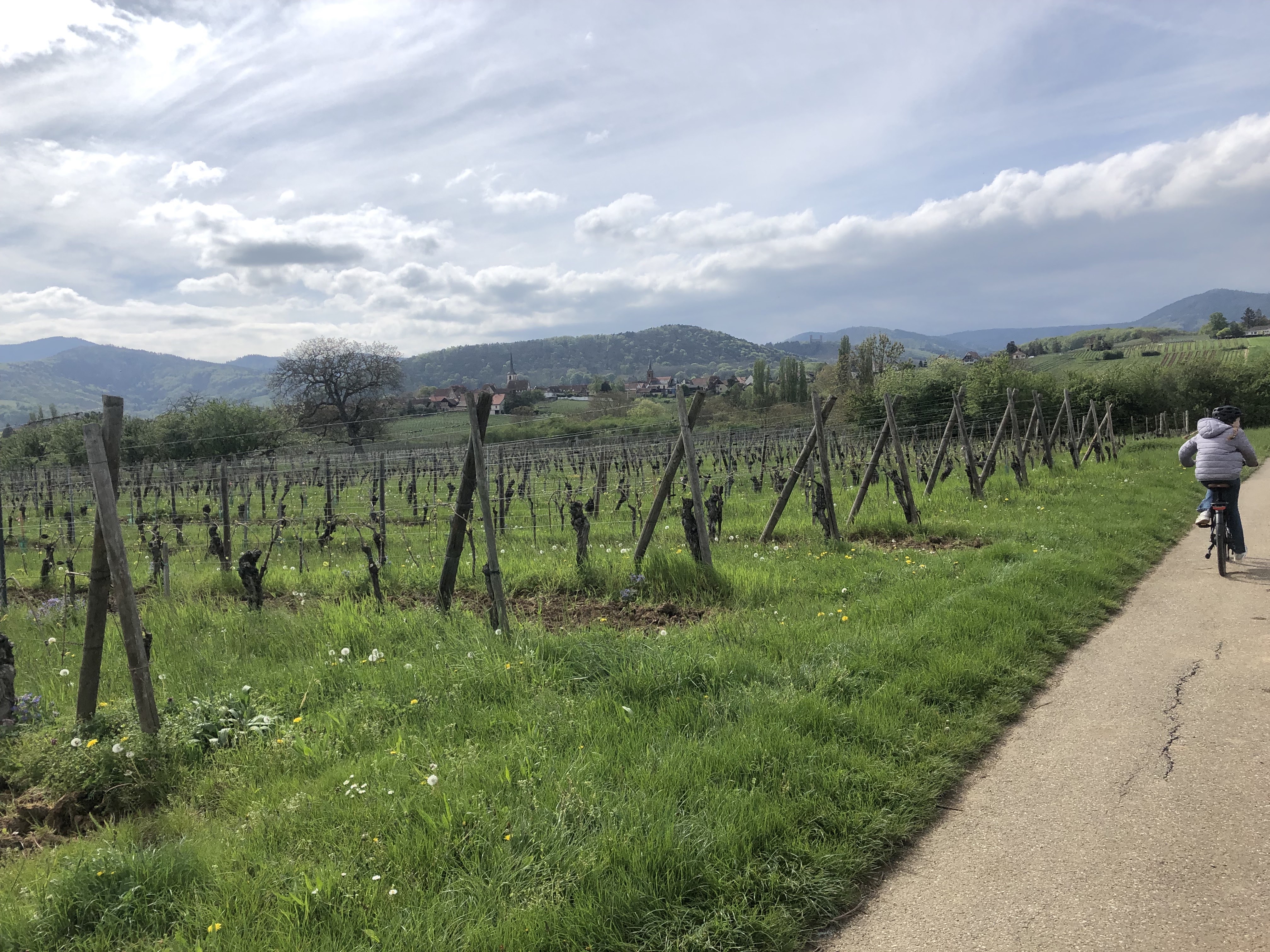 Photo n° 4 de l'avis de Arjan.r fait le 29/04/2023 à 17:18