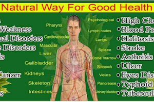 Natural Herbal & Diagnostic Centre image