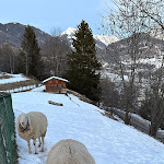 Photo n°2 de l'avis de Carlotta.i fait le 05/02/2024 à 19:49 sur le  Family Hotel & Residence Veronza à Cavalese