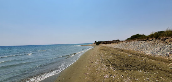 Mazotos beach
