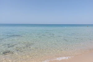 Lido Le Macchie image