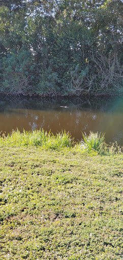 Boat Ramp «South Bay RV Park», reviews and photos, 100 Levee Rd, South Bay, FL 33493, USA