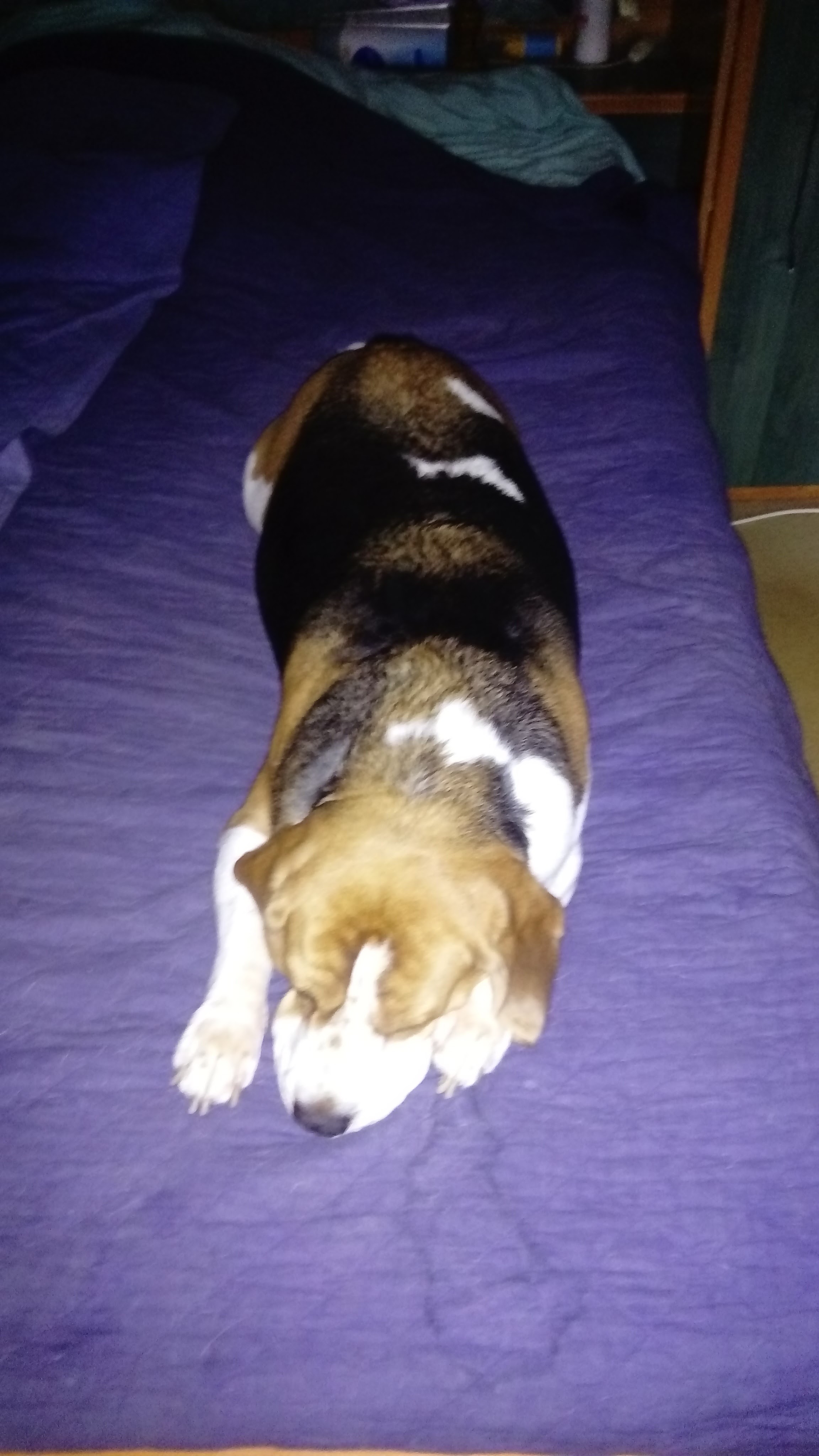 Photo n° 1 de l'avis de Brunet.o fait le 25/01/2018 à 06:24