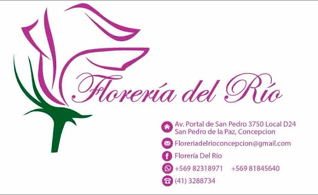 Opiniones de Florería Del Río en San Pedro de La Paz - Floristería