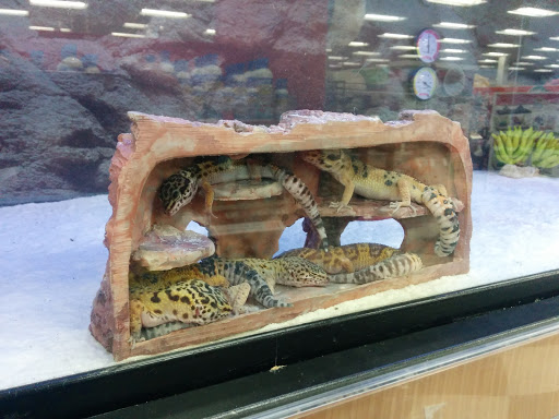 Pet Supply Store «Petco Animal Supplies», reviews and photos, 975 NW Gilman Blvd E, Issaquah, WA 98027, USA