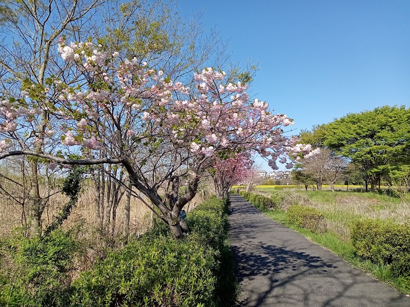 県立印旛手賀沼自然公園