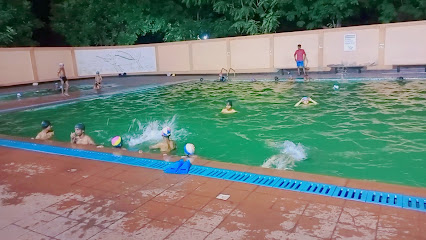 The Swimming Pool